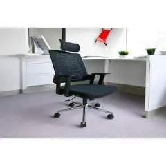 NEONX Leona Plus  Çalışma Sandalyesi