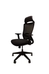 Flexv Yönetici Çalışma Koltuğu – Ergonomik Konfor ve Modern Tasarım